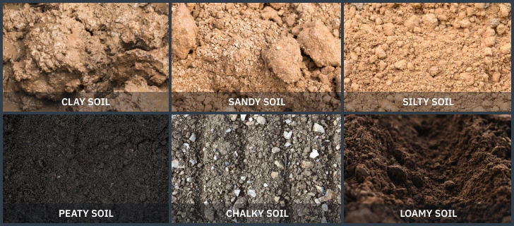 types of soil.jpg